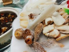 -名善山珍·野生菌汤锅(文殊院店)