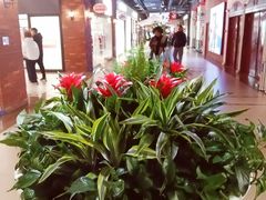 -燕莎奥特莱斯购物中心