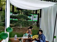 -合肥滨湖国家森林公园