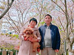 -高东镇樱花园