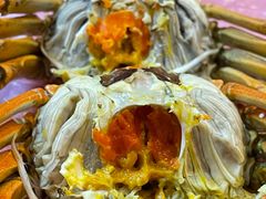 -黄记大闸蟹专卖店·活蟹·醉蟹