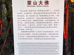 -蒙山大佛景区