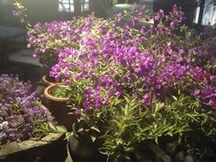 -瓦库茶馆17号(海汇港店)