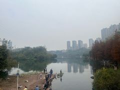 -重庆彩云湖湿地公园