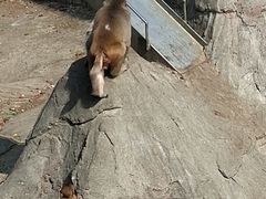 -无锡动物园·太湖欢乐园