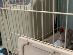 -嘉馨宠物医院·CT影像转诊·心脏科·犬猫全科诊疗中心(下沙大学城院区)