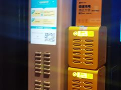 -东方金柜(郑州金水印象汇店)