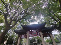 -汇龙潭