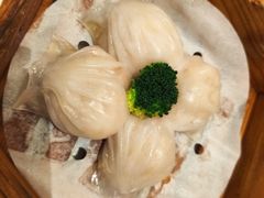 -四季海鲜酒楼·粤菜·早茶·宴会(南山中心区店)