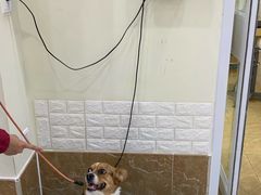 -美联众合动物医院·24h京西诊疗中心