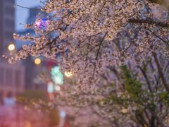 -西北湖绿化广场