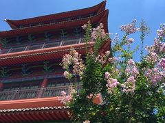 -石岛赤山风景区