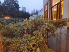 -南京西康宾馆
