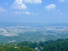 -大金鹰园