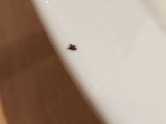 -阿香米线(龙岗万科广场店)