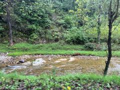 -商洛老君山旅游风景区