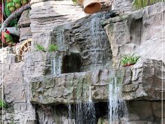 -南宫五洲植物乐园