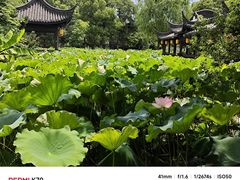 -丝绸小镇荻港古村