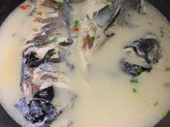 千岛湖鱼头-丰乐餐厅·始于1999·本地老字号