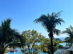 -粤菜王府·海鲜·茶市·海景餐厅(大梅沙店)