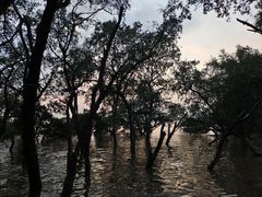 -宝安西湾红树林湿地公园