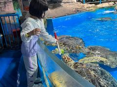 -泉城欧乐堡海洋极地世界