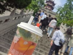 -鸡鸣赐茶(鸡鸣寺路店)