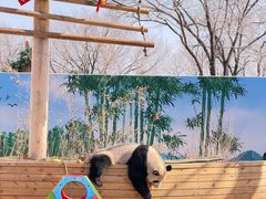 -秦皇岛野生动物园