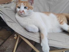 -小半有礼(天河南店)