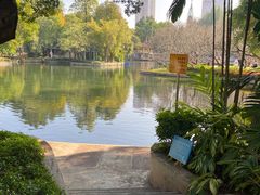 -晓港公园