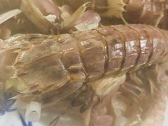 -渡海小渔村.老辈日照菜