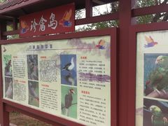 -武清南湖绿博园