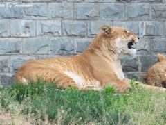 -西安秦岭野生动物园