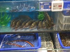 水产区-盒马鲜生(文景博乐里购物广场店)