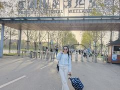 -洋湖国家湿地公园