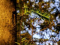 -苏州河梦清园环保主题公园