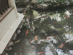 -顺峰·粤菜海鲜·早茶自助(阜成店)