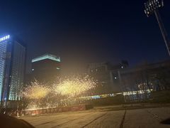 -沈阳奥体冰雪嘉年华