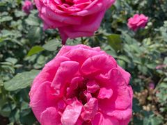 -人民公园(罗湖区)