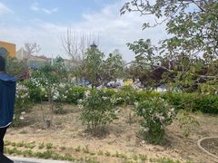 -北戴河圣蓝海洋公园