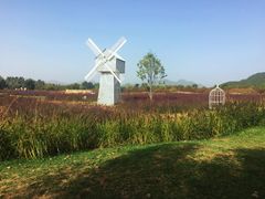 -北京东方普罗旺斯薰衣草庄园