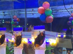 -烟台海昌鲸鲨海洋公园