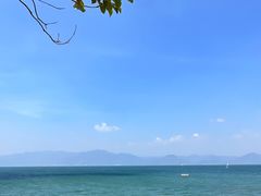 -月亮湾湿地公园