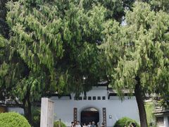 -江心屿景区