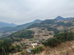 -紫鹊界梯田景区