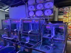 -八仔大富楼·河鲜(西江店)