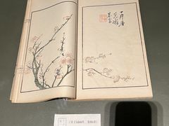 -芥子园