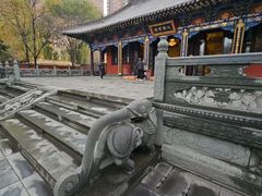 -护国法轮寺
