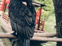-长兴太湖图影湿地文化园