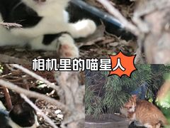 -五四广场